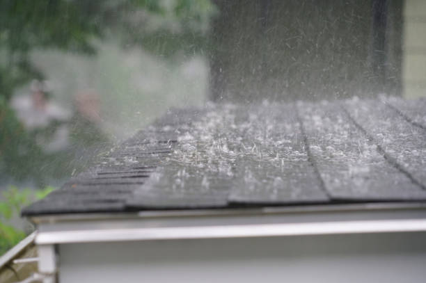 Best Roof Coating Services  in Carbondale, CO