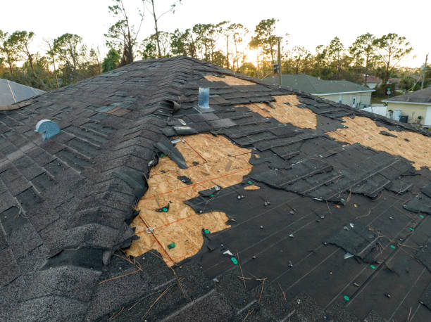 Best Green or Eco-Friendly Roofing Solutions  in Carbondale, CO