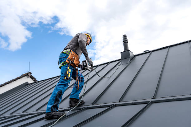 Best Roof Coating and Sealing  in Carbondale, CO